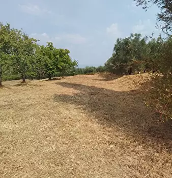 Foto annuncio 36