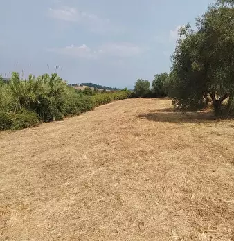 Foto annuncio 33
