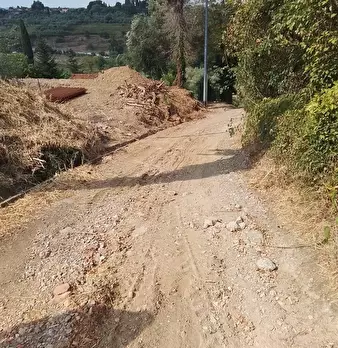 Foto annuncio 37