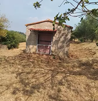 Foto annuncio 39