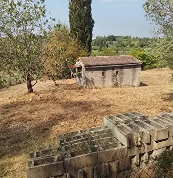 Foto annuncio 40
