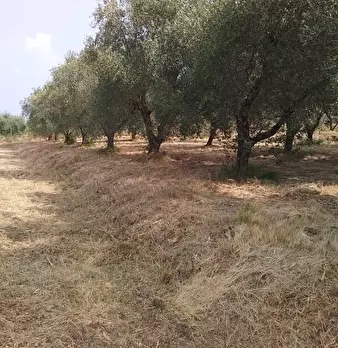 Foto annuncio 32