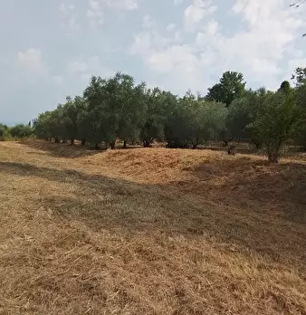 Foto annuncio 34