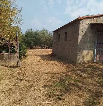 Foto annuncio 26