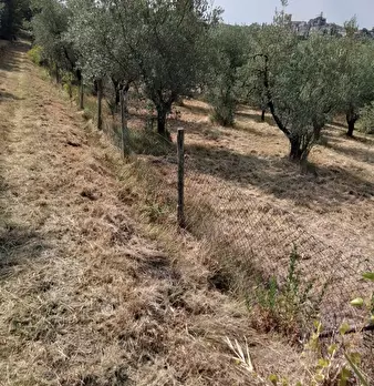 Foto annuncio 23