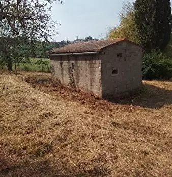 Foto annuncio 27
