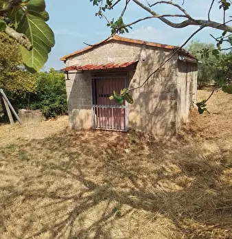 Foto annuncio 2
