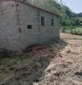 Foto annuncio 35