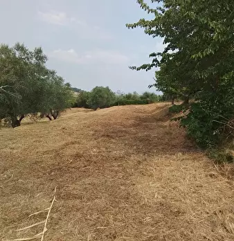 Foto annuncio 29