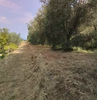 Foto annuncio 24