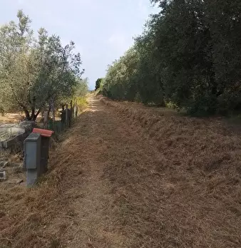 Foto annuncio 30
