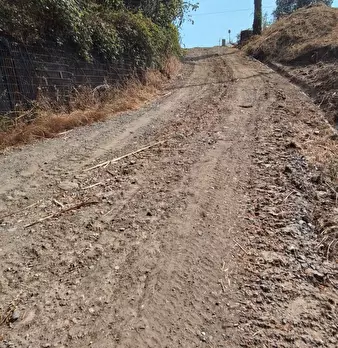 Foto annuncio 31