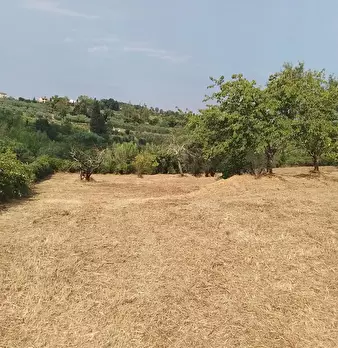 Foto annuncio 22
