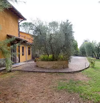 Foto annuncio 7