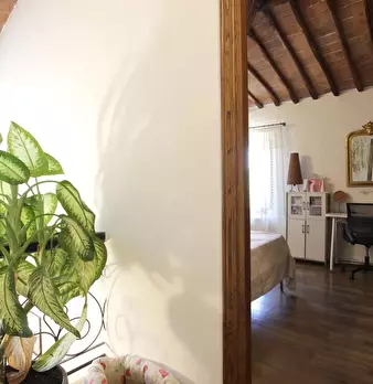 Foto annuncio 21