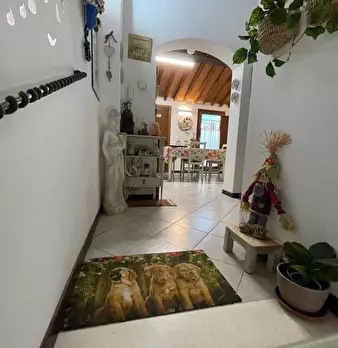 Foto annuncio 14