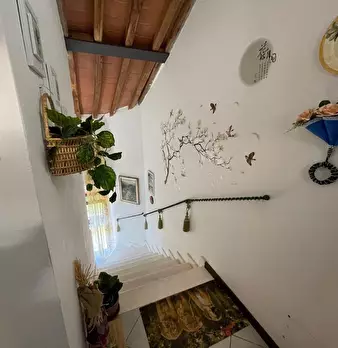 Foto annuncio 34