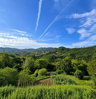 Foto annuncio 19