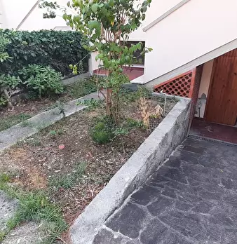 Foto annuncio 53