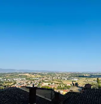 Foto annuncio 11