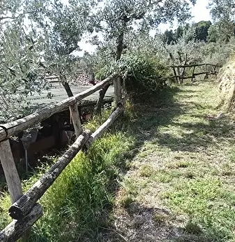 Foto annuncio 11
