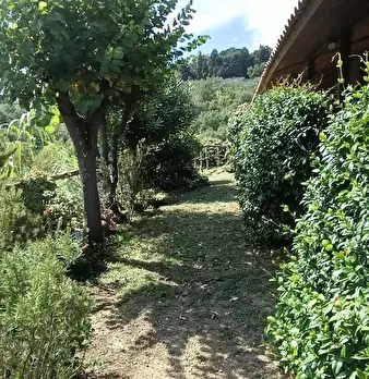 Foto annuncio 14