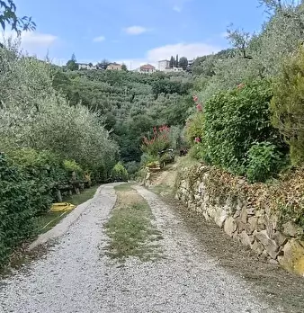 Foto annuncio 43