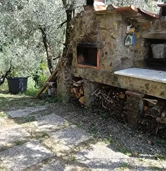 Foto annuncio 7