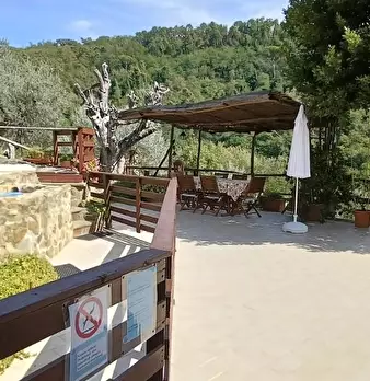 Foto annuncio 5