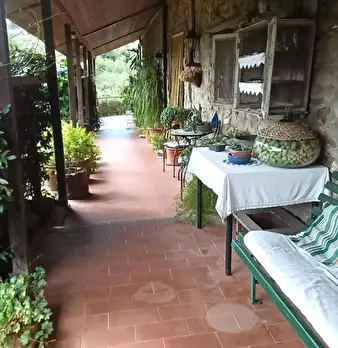 Foto annuncio 19
