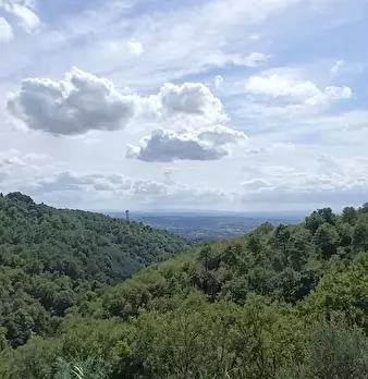 Foto annuncio 48