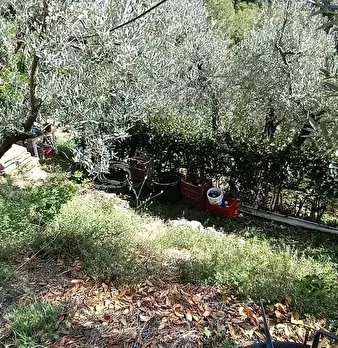 Foto annuncio 12