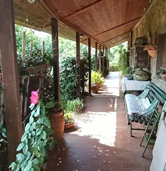 Foto annuncio 17