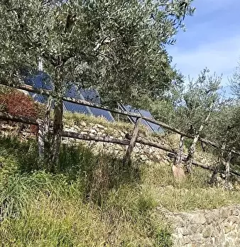 Foto annuncio 13