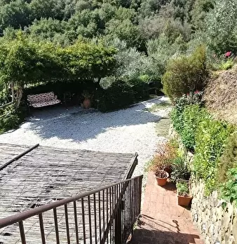 Foto annuncio 42