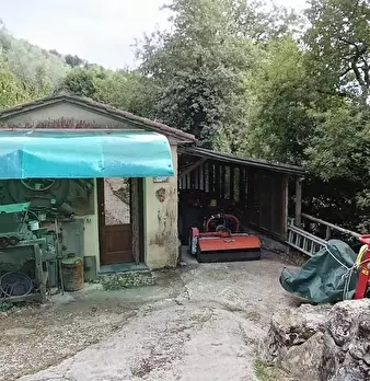 Foto annuncio 44