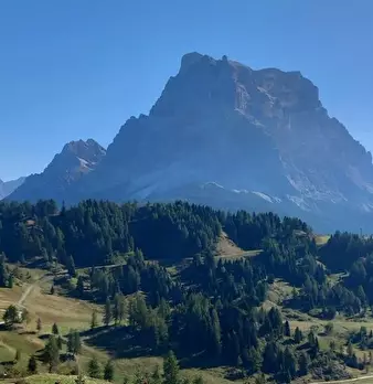Foto annuncio 28
