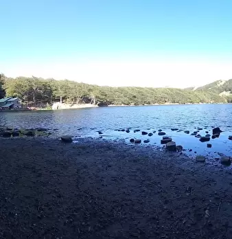 Foto annuncio 22