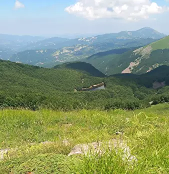 Foto annuncio 8