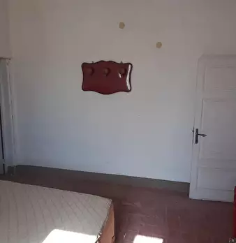 Foto annuncio 51