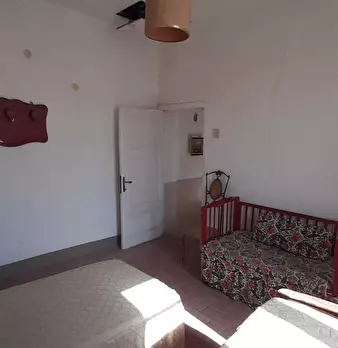 Foto annuncio 52