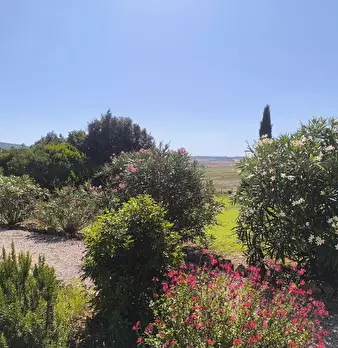 Foto annuncio 49