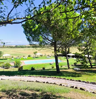 Foto annuncio 53