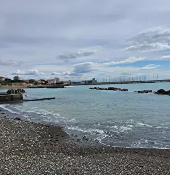 Foto annuncio 16