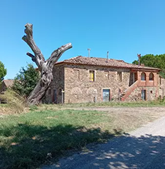 Foto annuncio 2
