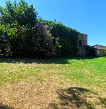 Foto annuncio 22