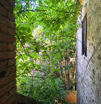 Foto annuncio 13
