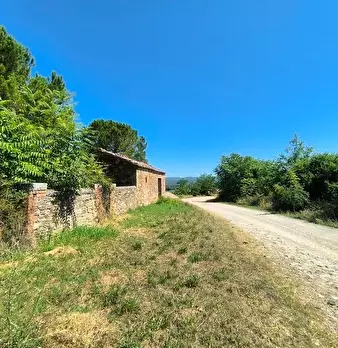 Foto annuncio 8