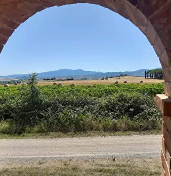 Foto annuncio 4