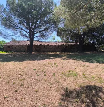 Foto annuncio 21